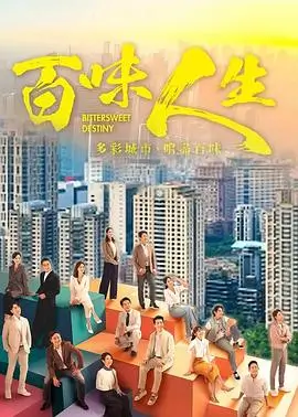 热播电视剧全集雾港来信剧集版海报